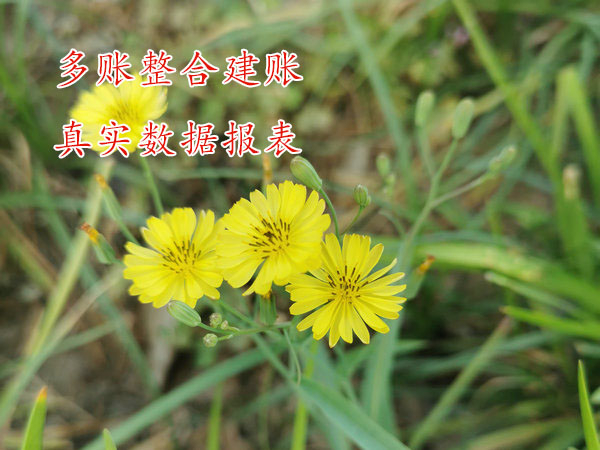 開封內(nèi)外多賬整合